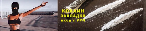 стаф Богданович