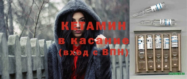 стаф Богданович