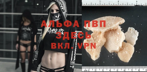 стаф Богданович